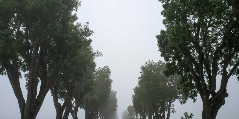 抖音短视频带货怎么做?2026年挂车出单实操指南