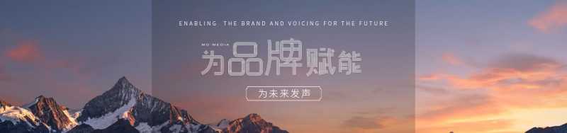 电脑上淘宝怎么搜索店铺(淘宝搜索框使用方法)