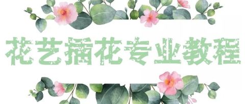 淘宝搜索排名怎么看(淘宝怎么看排名靠前的店铺)