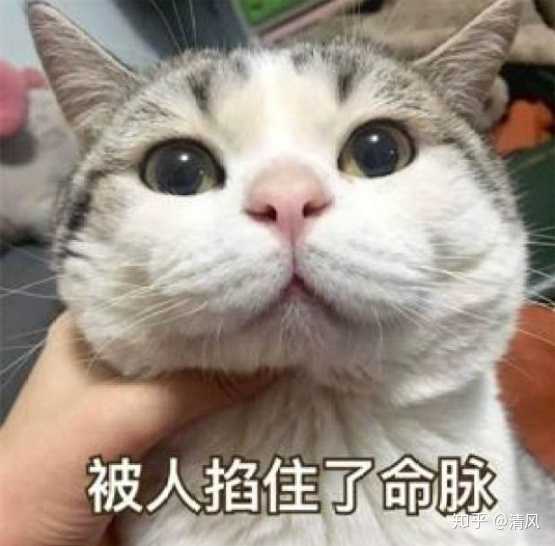 超级推荐如何拉低出价(超级推荐怎么拖价)