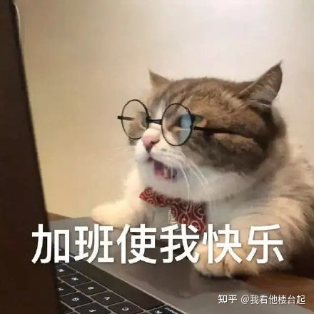 如何防止在网站SEO优化过程中被降权的问题。