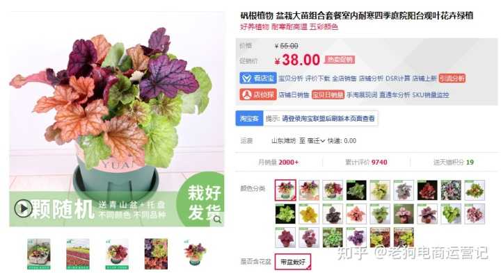 分享SEO能在大型行业站里起到什么作用。