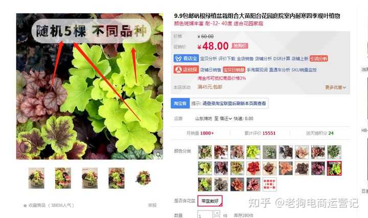淘宝搜索词权重查询在哪里查(淘宝权重查询入口)