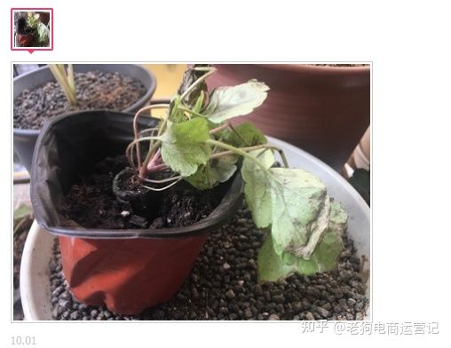 小编分享南充网站建设如何做更有特色。