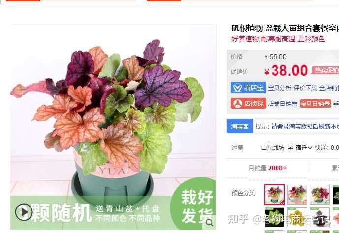 提高网络销售额的四大技巧。