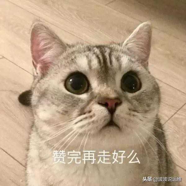 直通车展现量低的原因是什么(直通车展现量越多越好吗)