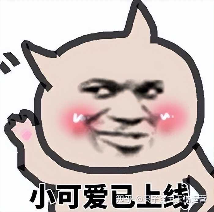 万相台货品加速怎么使用