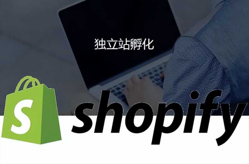seo优化怎么选择域名。