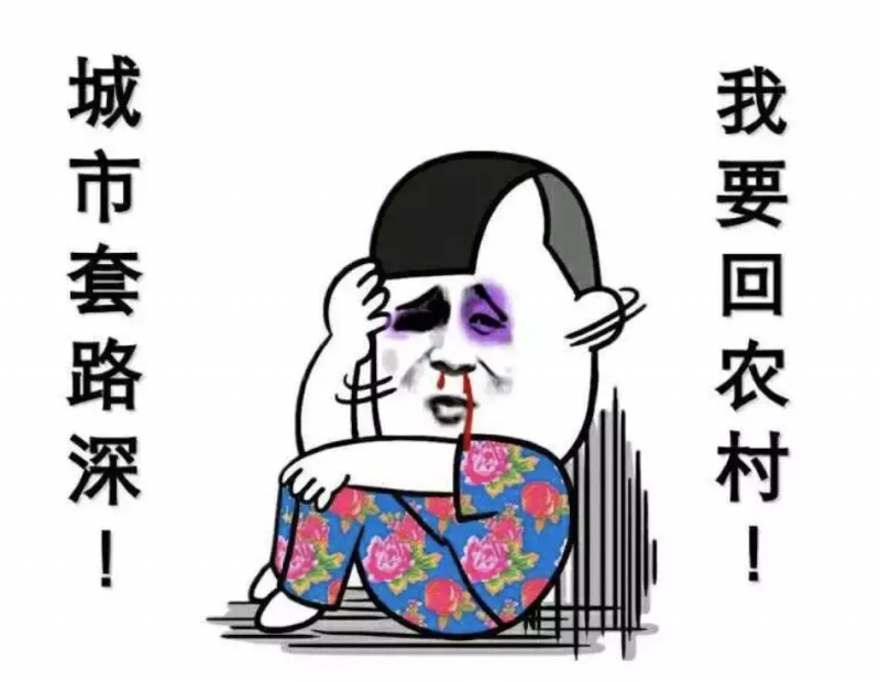支付宝获取运动币有什么用(支付宝走路获得的运动币可以干什么)