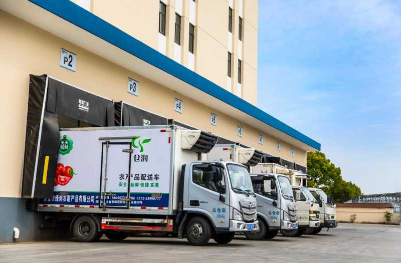 介绍搜索引擎优化代码标签在网站建设中的应用。