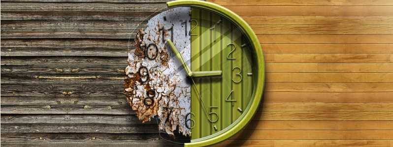 小编分享哪家网络公司做网站性价比高。