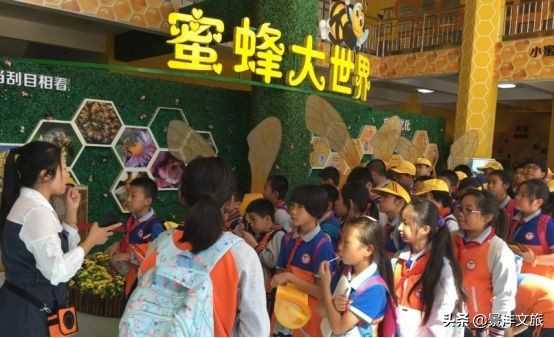 淘宝店铺手机端首页怎么装修,如何在手机上装修淘宝店铺（手机端自己网店如何装修）